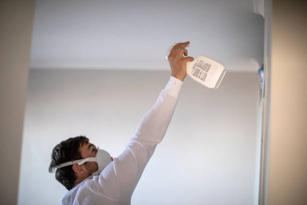Best Kitchen Mold Remediation in Santa Fe Springs, CA