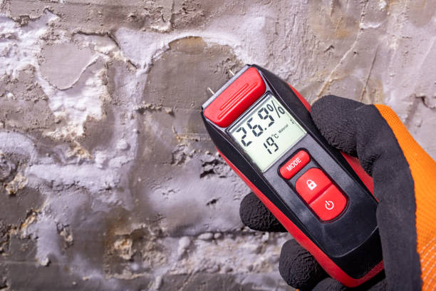 Trusted Santa Fe Springs, CA Mold Remediation Experts